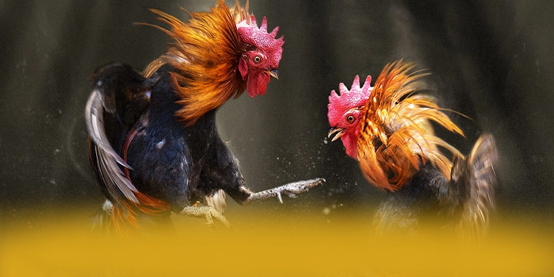 GO8 - Cổng giải trí được yêu thích được cộng đồng game thủ yêu thích – Cập nhật event và quà tặng tại GO8