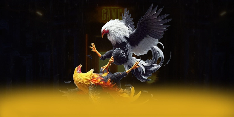 tỷ lệ kèo bóng đá - Cổng trò chơi với chính sách tặng thưởng đẳng cấp 2025 – Tìm hiểu khuyến mãi độc quyền của tỷ lệ kèo bóng đá