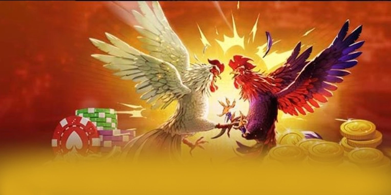 DAGA88 - Cổng trò chơi với phần thưởng siêu lớn được quan tâm nhất – Khám phá phần thưởng khủng từ DAGA88