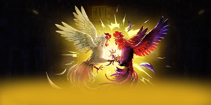 WIN79 - Cổng trò chơi giá trị nhất trên thị trường – Khám phá chương trình WIN79